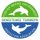 TURMEPA Logosu