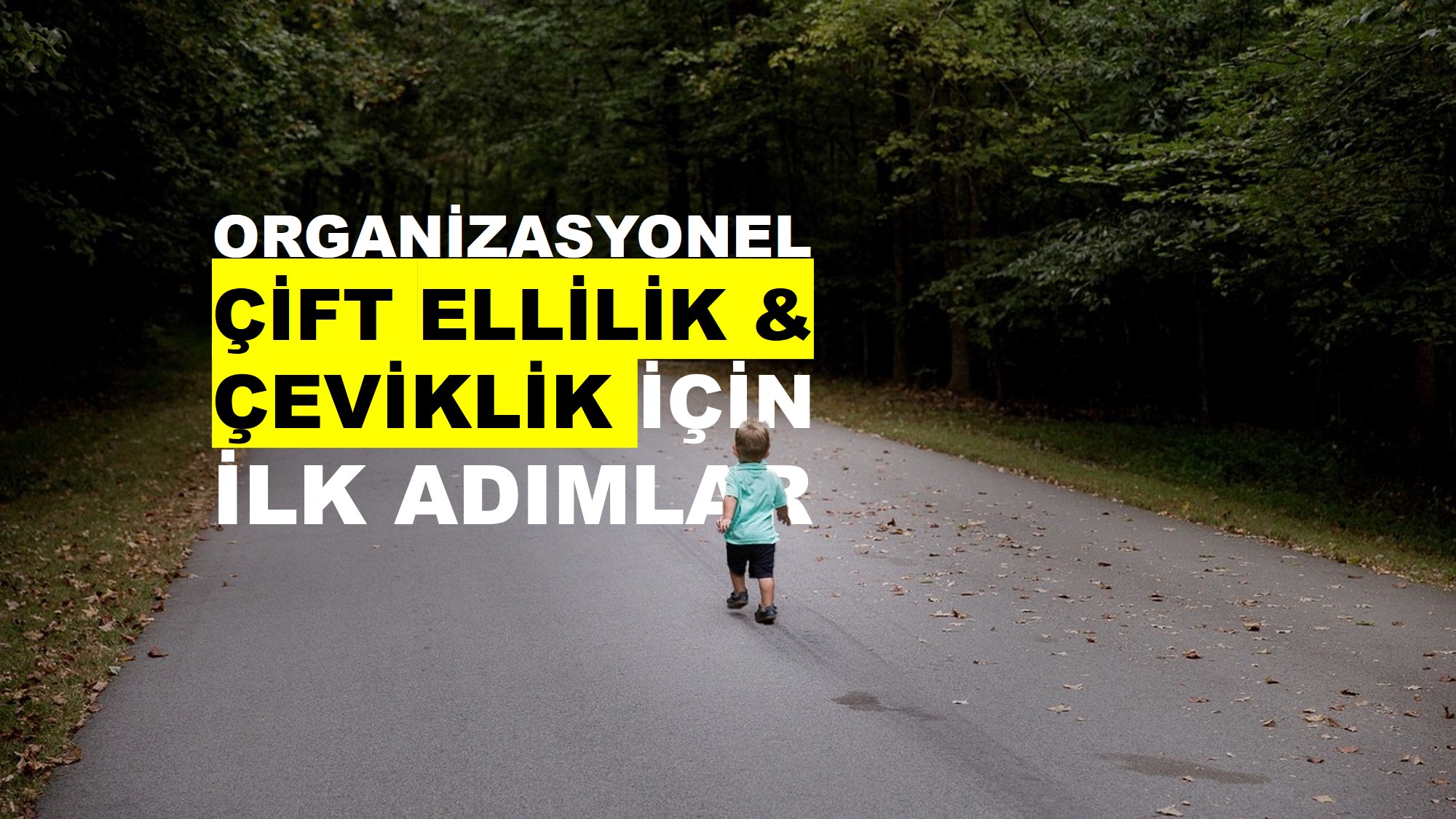Çift Elli ve Çevik Organizasyon (Faz 2 ) için İlk Adımlar