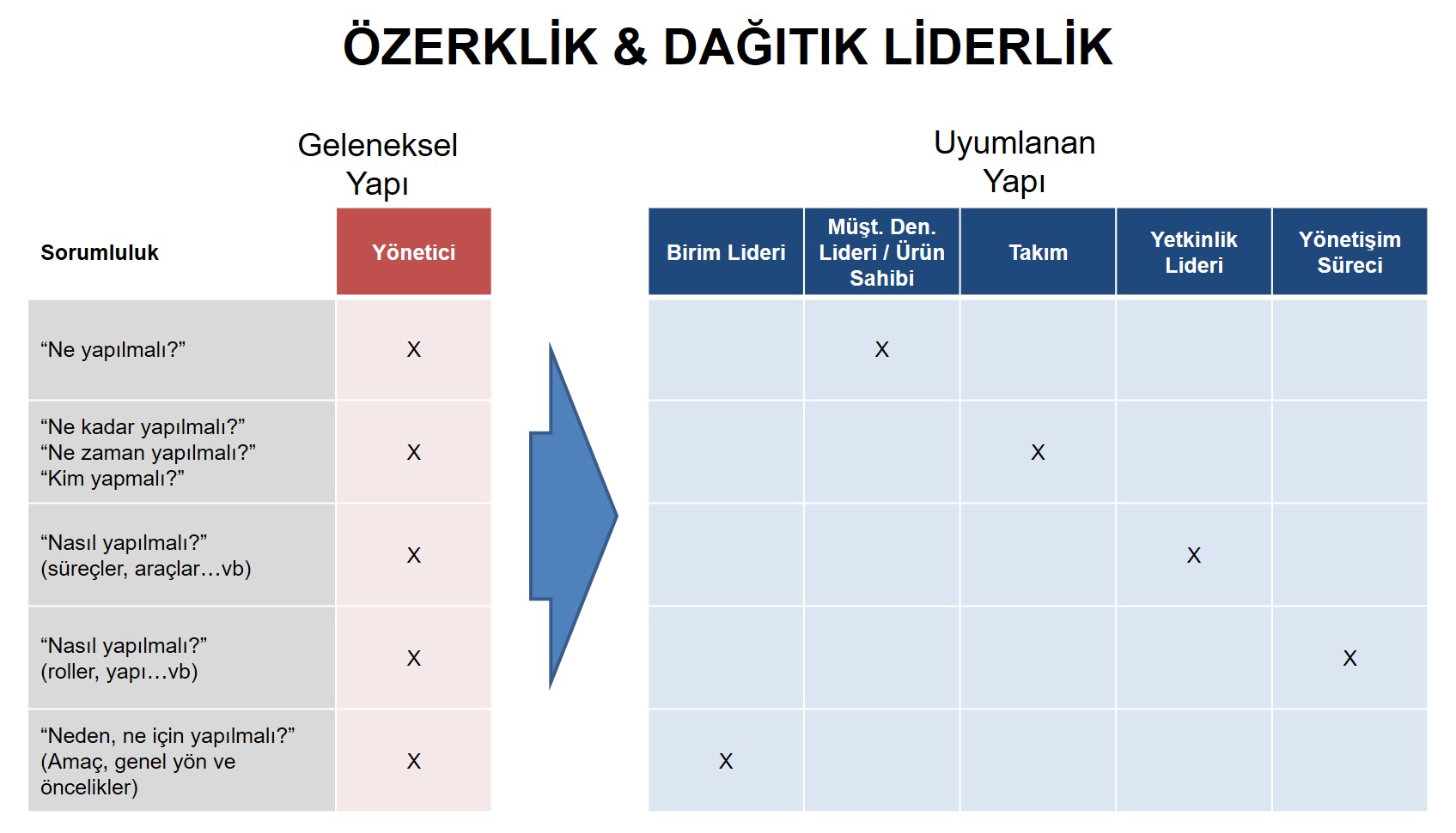 Çift Elli Organizasyonlarda Özerklik