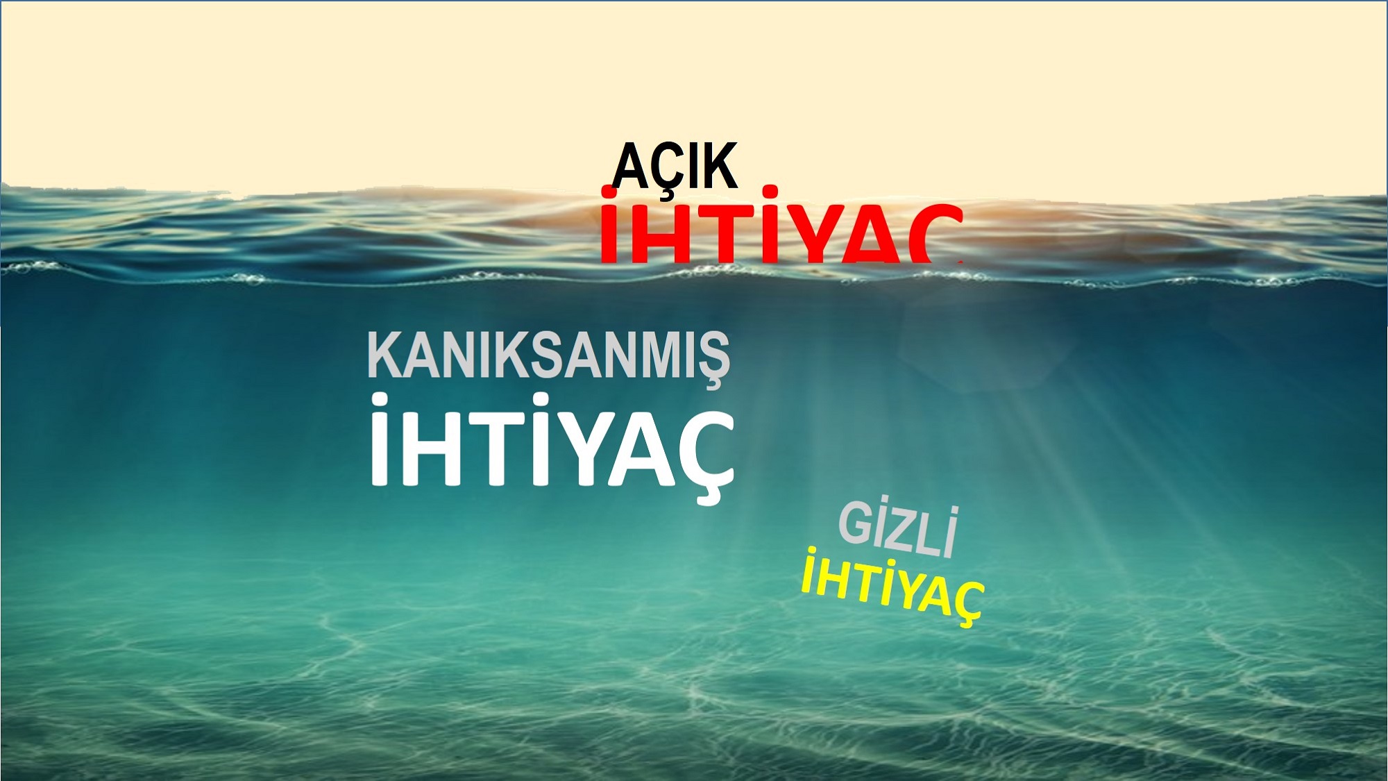 Çözüm Üretmeye Değer İhtiyaçları Bulmak