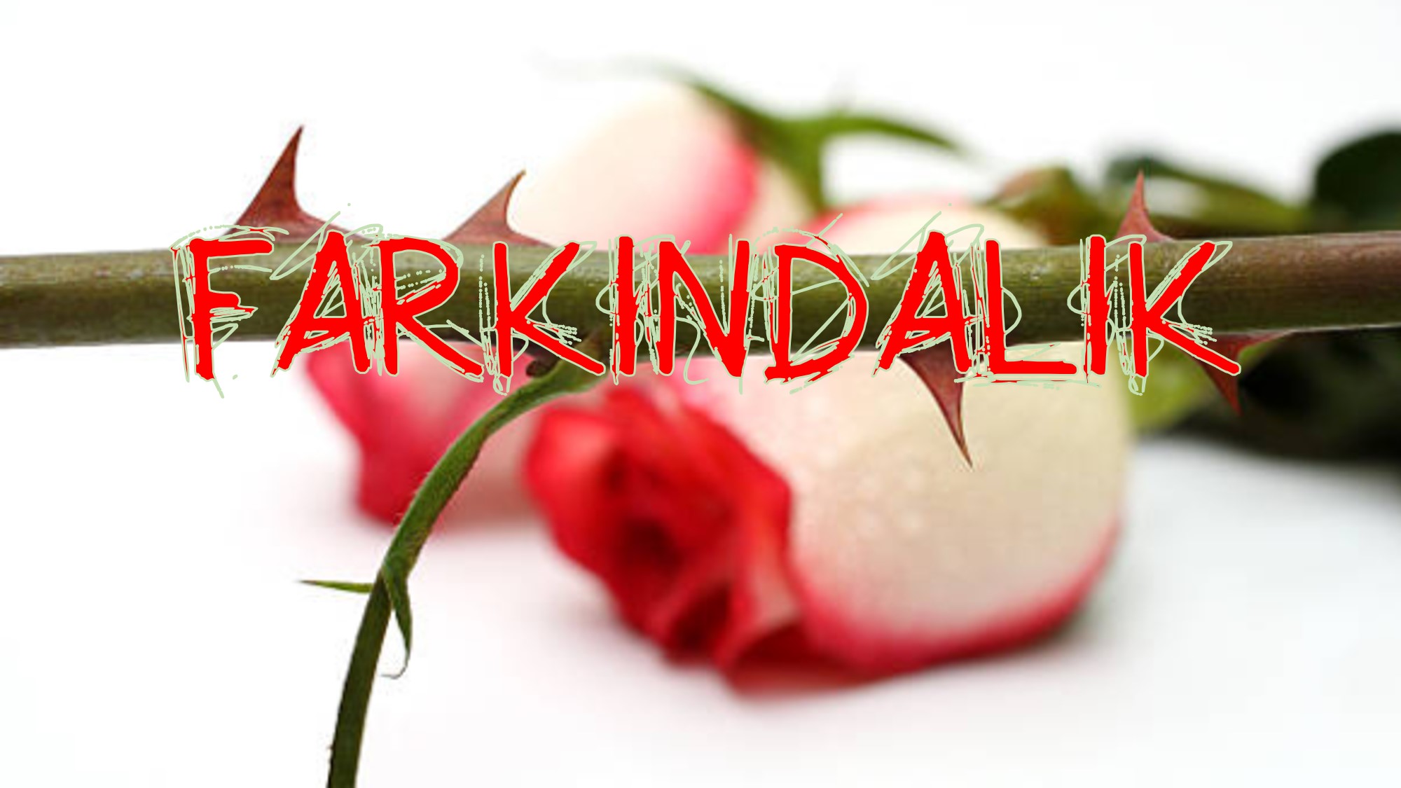 Farkındalık için Geri Bildirim