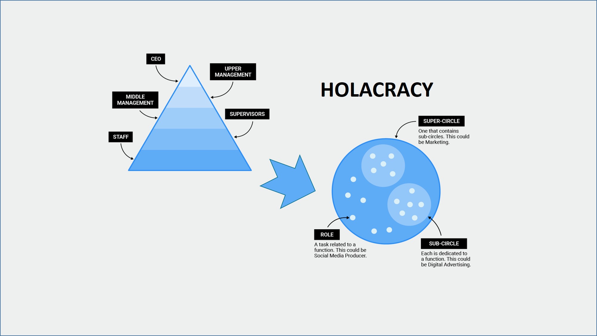 Holacracy: Dinamik Bir Yönetim Modeli