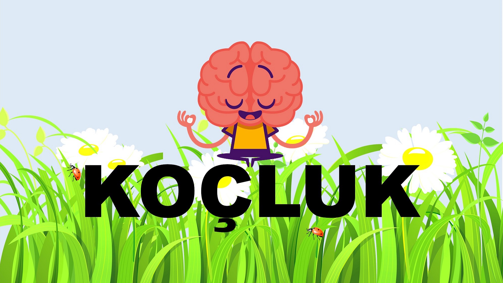 Koçluk ve Koçvari Yaklaşım