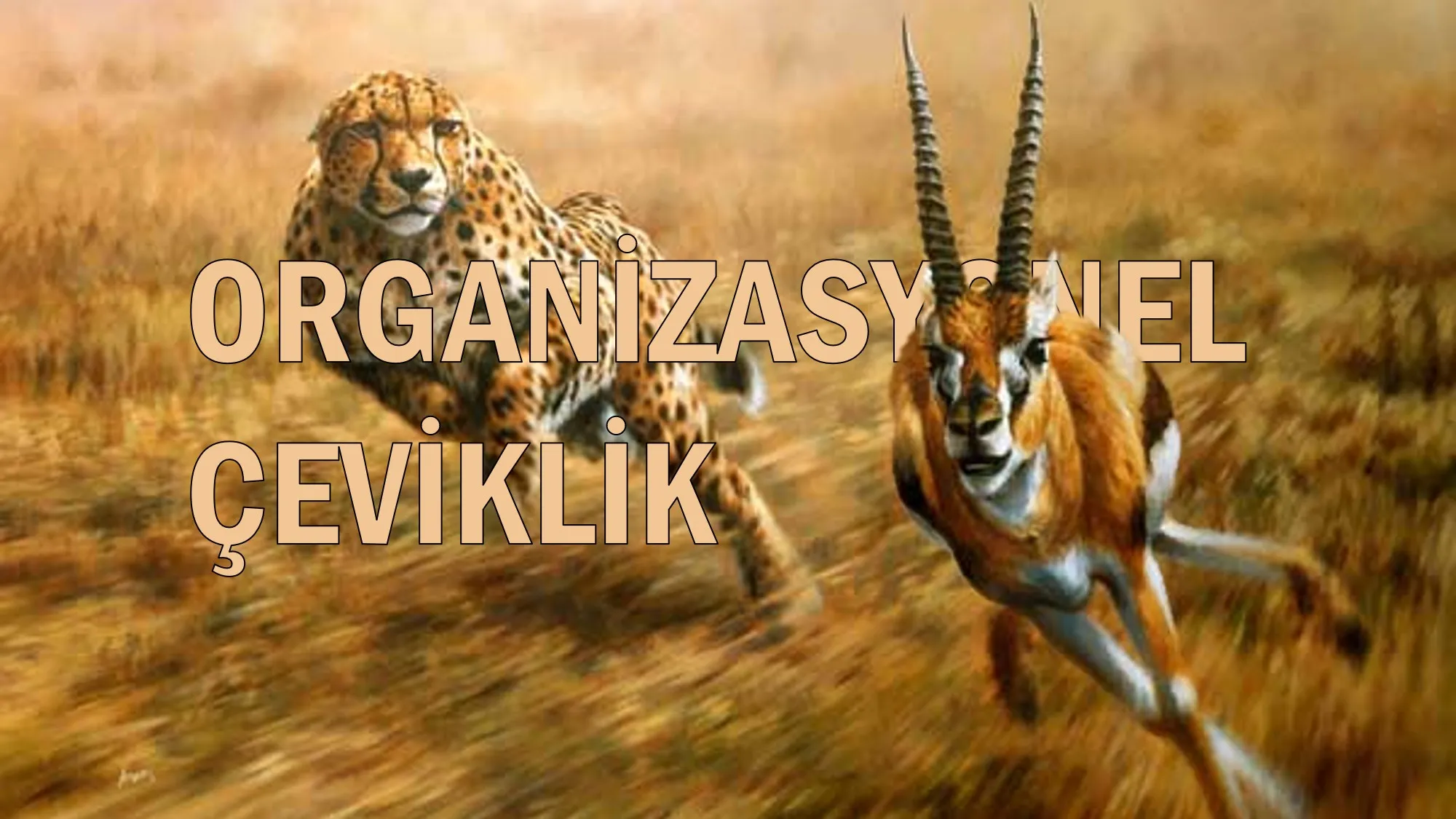 Nedir “Organizasyonel Çeviklik”? - Uğur Cem Yıldız