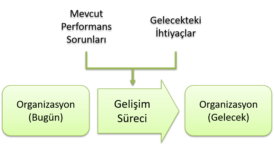 Organizasyonel Gelişim