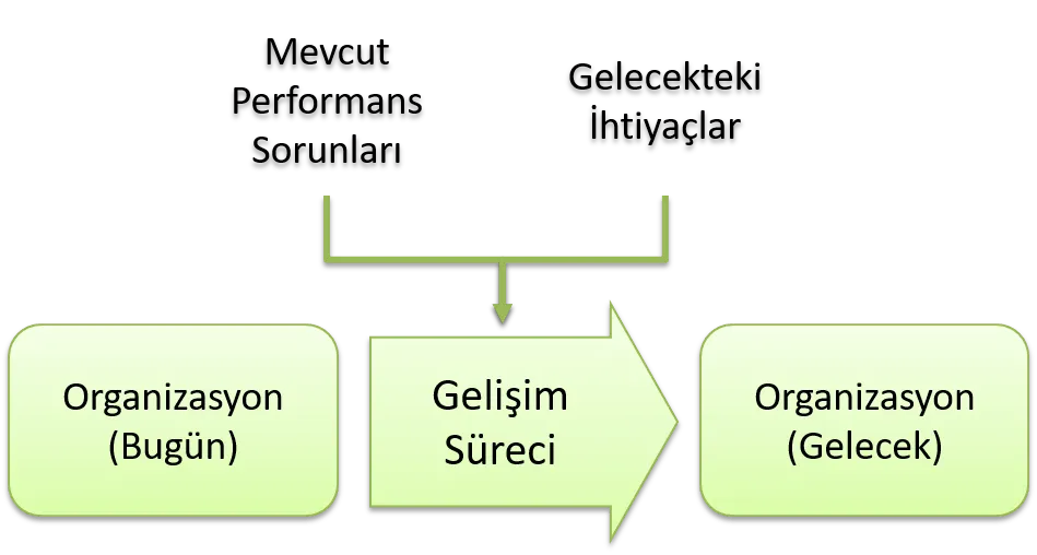 Organizasyonel Gelişim