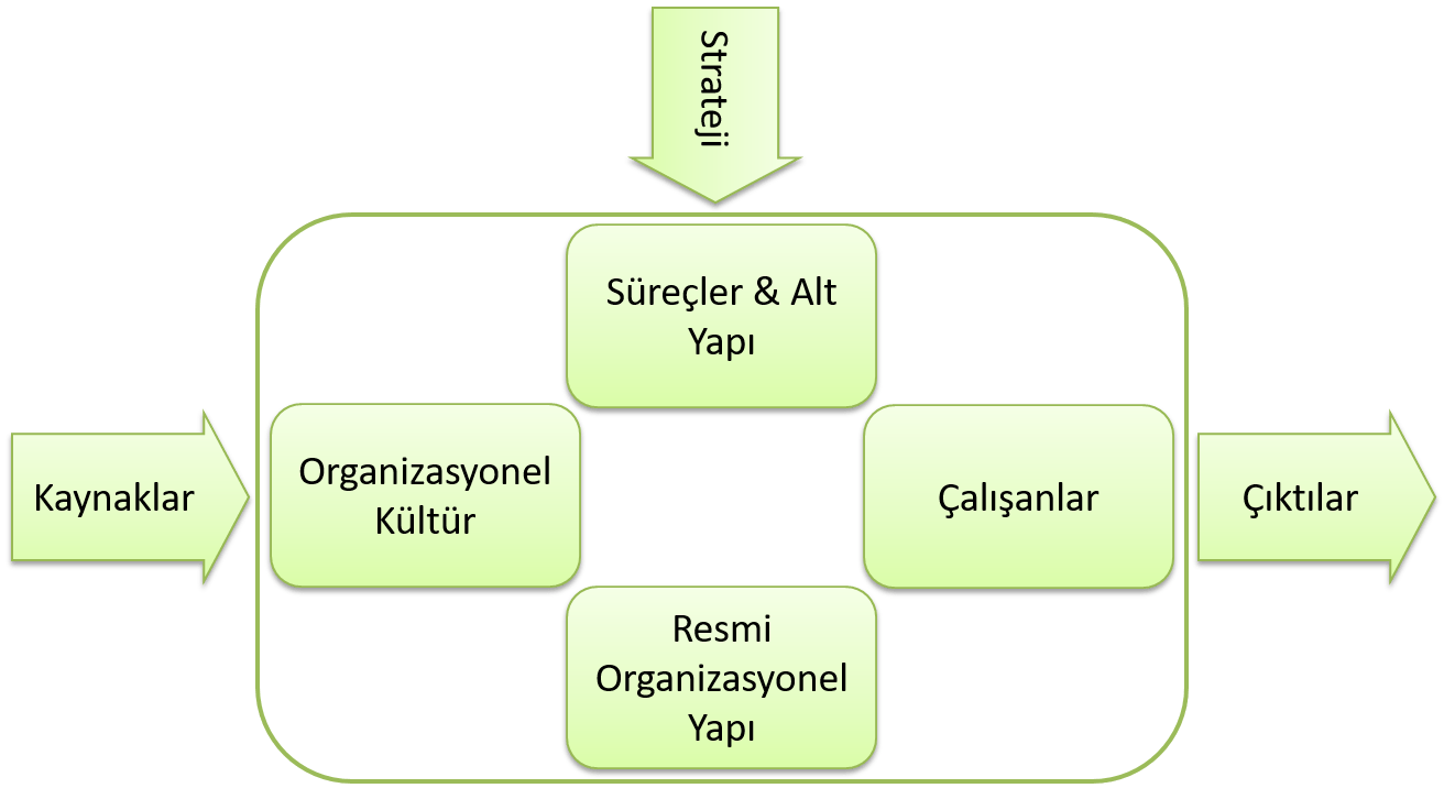 Uyum Modeli