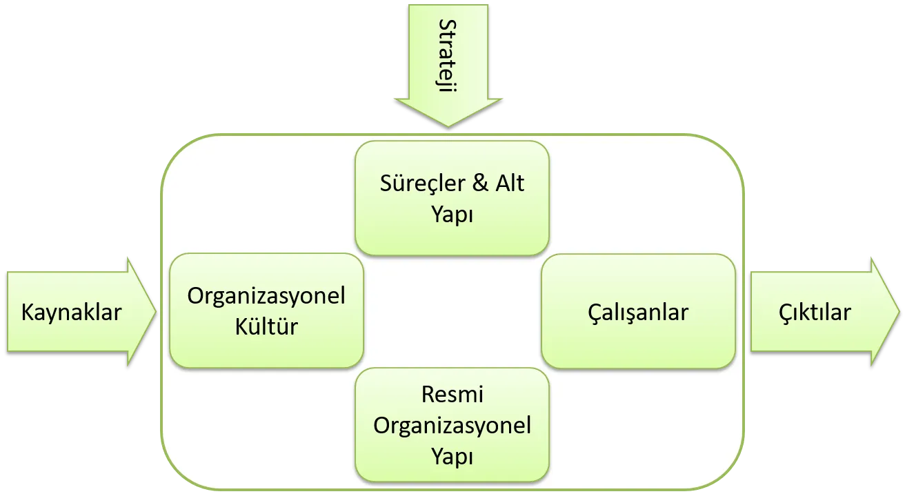 Uyum Modeli