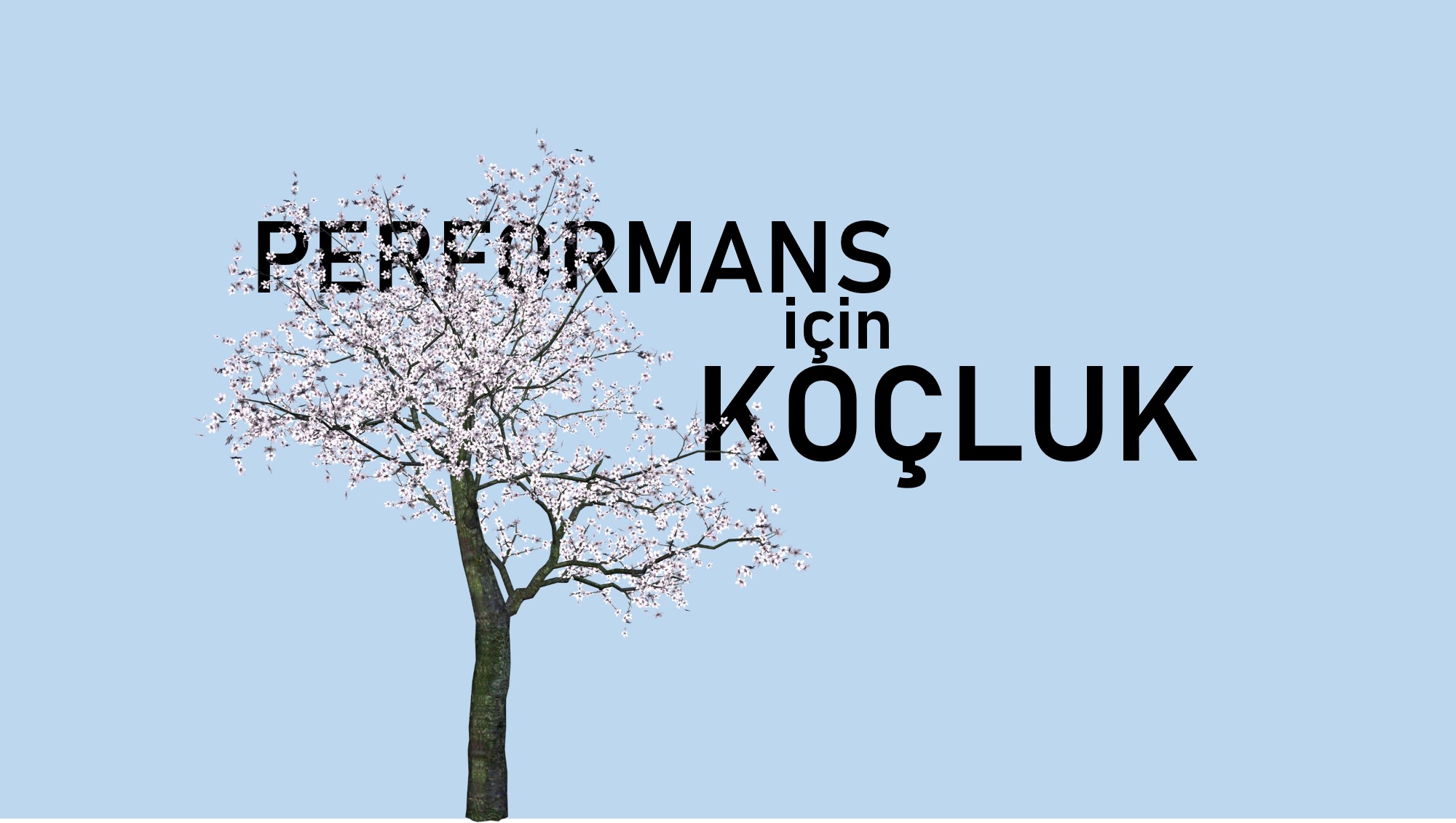 Performans için Koçluk