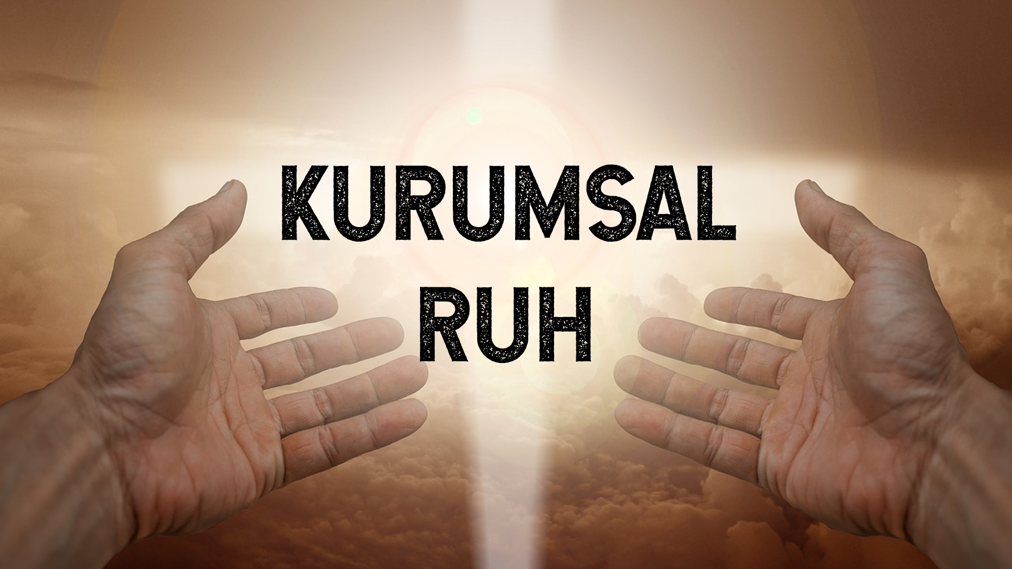 Ruh Sahibi Kurumlar