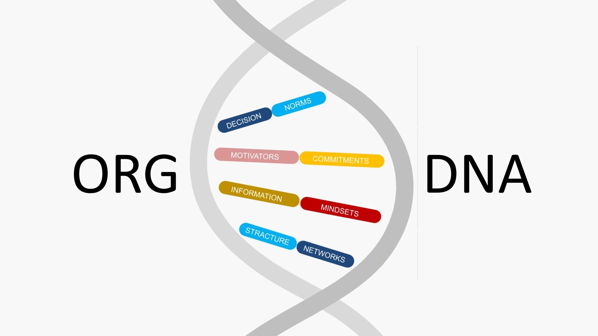 The Organizational DNA